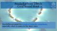 Seychelles inner islands by Coral Strand Hotel PowerPoint PPT Presentation