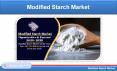 Modified Starch Market, Production & Forecast, Sector & Company Analysis PowerPoint PPT Presentation