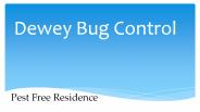 Dewey Bug Control