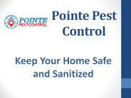 Pointe Pest Control (1)
