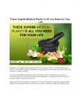 These Superb Medical Plants is All You Need for Your Life PowerPoint PPT Presentation