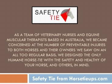 Safety Ties For Horses Quick Release