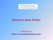 Business plan Dubai