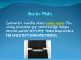 Stable Mats PowerPoint PPT Presentation