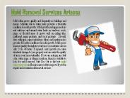 Mold Removal Services