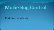 Moxie Bug Control