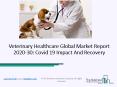 Veterinary Healthcare Market Size, Demand, Growth, Analysis and Forecast to 2030 PowerPoint PPT Presentation