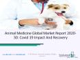 Global Animal Medicine Market Opportunity and Growth Outlook Report 2020 PowerPoint PPT Presentation
