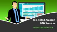 Top-Rated Amazon B2B Services - www.salespusher.com