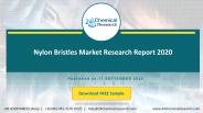 Nylon Bristles Market Research Report 2020