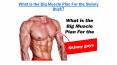 Big Muscle Plan For the Skinny guys PowerPoint PPT Presentation
