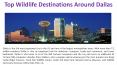 Top Wildlife Destinations Around Dallas PowerPoint PPT Presentation