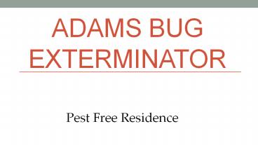 Adams Bug Exterminator