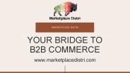 E-Commerce Website Services - Marketplace Distri