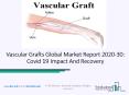 Vascular Grafts Market Overview, Growth And Latest Research Report By TBRC PowerPoint PPT Presentation