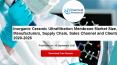 Inorganic Ceramic Ultrafiltration Membrane Market Size, Manufacturers, Supply Chain, Sales Channel and Clients, 2020-2026 PowerPoint PPT Presentation