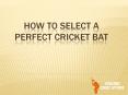 Key Features of Best Cricket Bat PowerPoint PPT Presentation