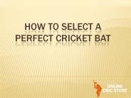 Key Features of Best Cricket Bat