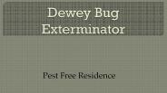 Dewey Bug Exterminator