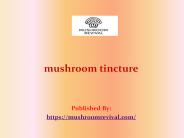 mushroom tincture