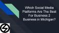 Which Social Media Platforms Are the Best for Business 2 Business in Michigan? PowerPoint PPT Presentation
