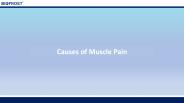 Causes of Muscle Pain (1)