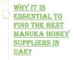 Tips to Choose the Right Manuka Honey Suppliers in UAE PowerPoint PPT Presentation