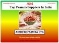 Top Peanuts Suppliers In India PowerPoint PPT Presentation