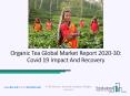Organic Tea Market Worldwide Key Industry Segments and Forecast 2020 PowerPoint PPT Presentation