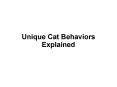 4 Unique Cat Behaviors Explained PowerPoint PPT Presentation