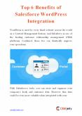 Top 6 Benefits of Salesforce WordPress Integration PowerPoint PPT Presentation