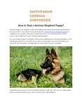 How to Train a German Shepherd Puppy? PowerPoint PPT Presentation