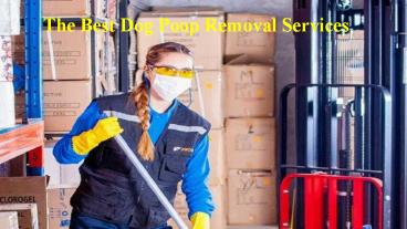 The Best Dog Poop Removal Services