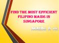 Find The Most Efficient Filipino Maids In Singapore PowerPoint PPT Presentation