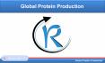 Global Poultry Protein Production by Poultry, Export and Consumption PowerPoint PPT Presentation