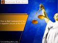How to find Commercial & Tax Litigation Lawyers in the USA? PowerPoint PPT Presentation