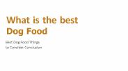 What is the best Dog Food