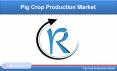 Calf Crop Production Market will be 1.9 Million by 2016 to 2020 PowerPoint PPT Presentation