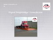 Digital Weighbridge | Leoscale.com