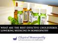 What Are the Best Effective Cholesterol Lowering Medicine in Homeopathy PowerPoint PPT Presentation