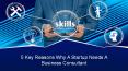 5 Key Reasons Why A Startup Needs A Business Consultant PowerPoint PPT Presentation