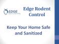 Edge Rodent Control PowerPoint PPT Presentation