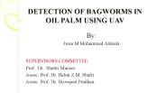 Bagworms Detection Using UAV Data