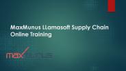 LLamasoft supply chain training