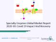 Specialty Enzymes Market Growth Prospects, Key Vendors, Future Scenario Forecast To 2030 PowerPoint PPT Presentation