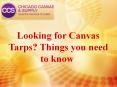 Looking for Canvas Tarps? Things you need to know  PowerPoint PPT Presentation