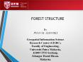 FOREST STRUCTURE PowerPoint PPT Presentation