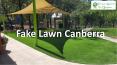 Fake Lawn Canberra PowerPoint PPT Presentation