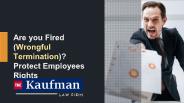 Are You Fired (Wrongful Termination)? Protect Employees Rights