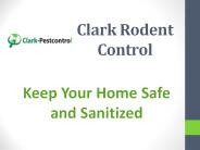 Clark Rodent Control